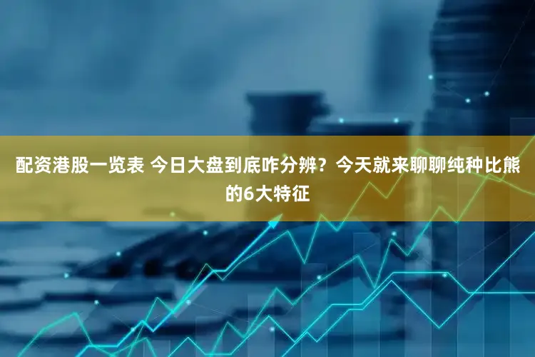 配资港股一览表 今日大盘到底咋分辨?今天就来聊聊纯种比熊的6大特征