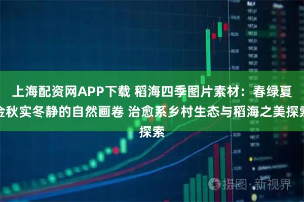 上海配资网APP下载 稻海四季图片素材：春绿夏金秋实冬静的自然画卷 治愈系乡村生态与稻海之美探索