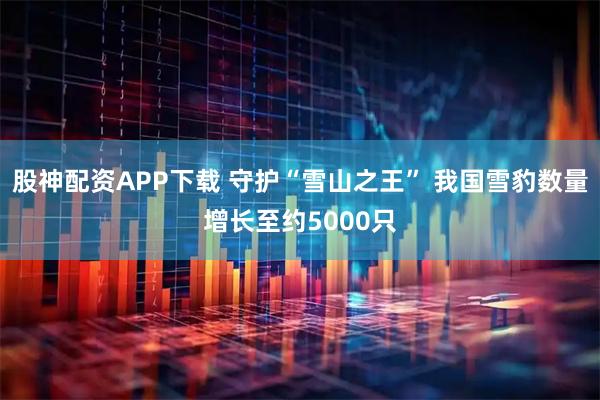 股神配资APP下载 守护“雪山之王” 我国雪豹数量增长至约5000只