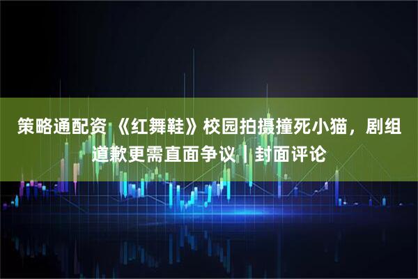 策略通配资 《红舞鞋》校园拍摄撞死小猫，剧组道歉更需直面争议｜封面评论