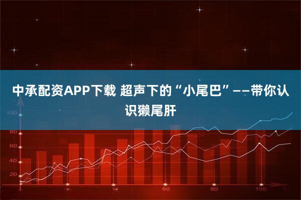 中承配资APP下载 超声下的“小尾巴”——带你认识獭尾肝