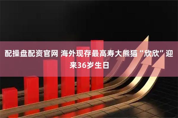 配操盘配资官网 海外现存最高寿大熊猫“欣欣”迎来36岁生日