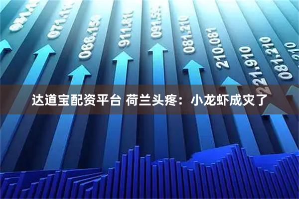 达道宝配资平台 荷兰头疼：小龙虾成灾了